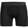 Icebreaker Anatomica Boxershort Heren - Zwart