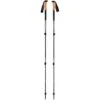 Black Diamond Trail Cork Trekking Poles - Granite