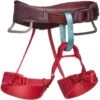 Black Diamond Momentum Kid's Harness - Wild Rose -Winkel Voor Buitensportartikelen black diamond momentum rose 1 1356068