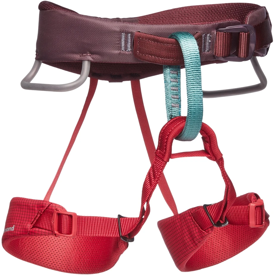 Black Diamond Momentum Kid's Harness - Wild Rose 3 Black Diamond Momentum Kid's Harness - Wild Rose