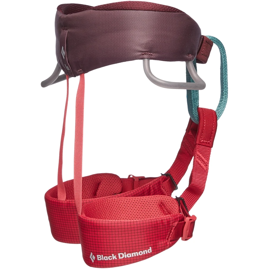 Black Diamond Momentum Kid's Harness - Wild Rose 4 Black Diamond Momentum Kid's Harness - Wild Rose - Afbeelding 2