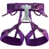 Petzl Luna Women's Harness - Violet -Winkel Voor Buitensportartikelen c035ba luna damen klettergurt violett 1 980954