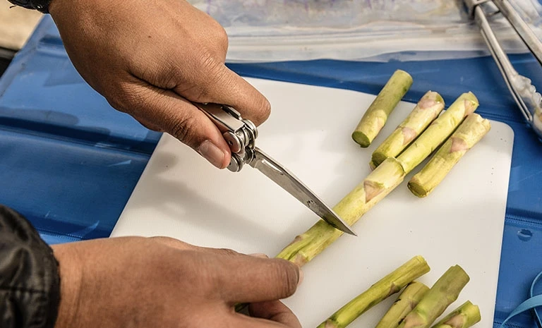 Leatherman Curl 14-in-1 Multitool - Stainless 8 Leatherman Curl 14-in-1 Multitool - Stainless - Afbeelding 6