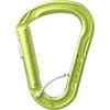 Edelrid HMS Strike Slider FG II Carabiner - Oasis