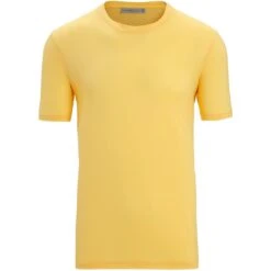 Icebreaker Tech Lite II T-Shirt Heren - Summer -Winkel Voor Buitensportartikelen icebreaker mens tech lite ii t shirt summer 1 1382304