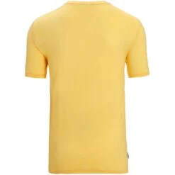 Icebreaker Tech Lite II T-Shirt Heren - Summer -Winkel Voor Buitensportartikelen icebreaker mens tech lite ii t shirt summer 2 1382305