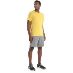 Icebreaker Tech Lite II T-Shirt Heren - Summer -Winkel Voor Buitensportartikelen icebreaker mens tech lite ii t shirt summer 5 1382308