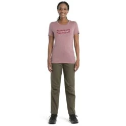 Icebreaker Tech Lite II Glacial Flow Logo T-Shirt Dames - Crystal -Winkel Voor Buitensportartikelen icebreaker womens tech lite ii glacial flow logo short sleeve tee crystal 3 1535675