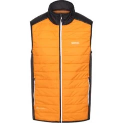 Regatta Halton B/W VII Hybride Vest - Orange Pepper/Black/Ash SZP 13 Regatta Halton B/W VII Hybride Vest - Orange Pepper/Black/Ash SZP -Winkel Voor Buitensportartikelen regatta halton b w vii hybrid vest orange pepper black ash szp 7 1532980