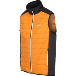Regatta Halton B/W VII Hybride Vest - Orange Pepper/Black/Ash SZP 12 Regatta Halton B/W VII Hybride Vest - Orange Pepper/Black/Ash SZP -Winkel Voor Buitensportartikelen regatta halton b w vii hybrid vest orange pepper black ash szp 9 1532982