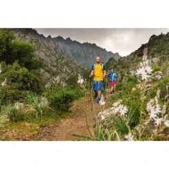 Vaude Men's Badile Shorts - Woodland -Winkel Voor Buitensportartikelen vaude mens badile shorts black uni 2 1410492